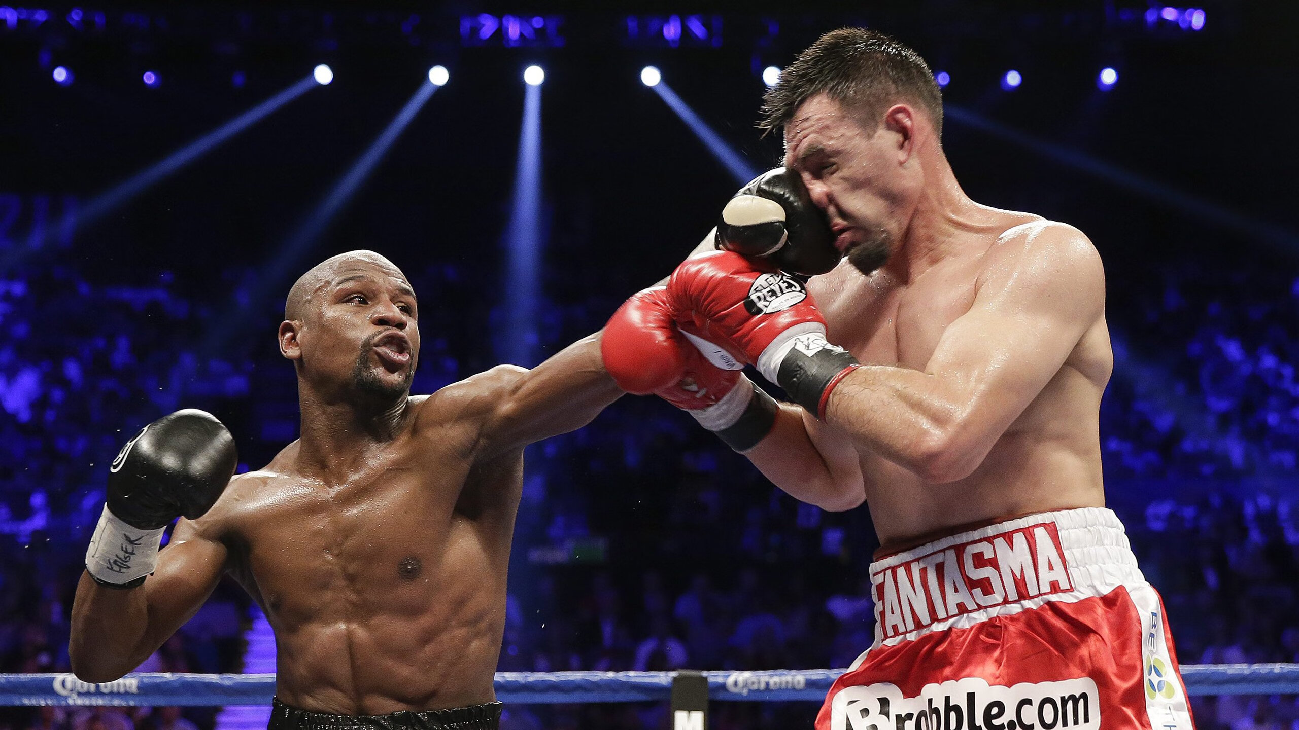 _新赛季展望：潜力新星预计冲击总冠军_，全新赛季